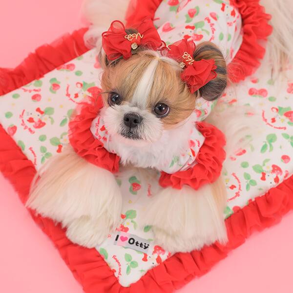 CanNana カフェマット マット ハローキティ サンリオ キティちゃん