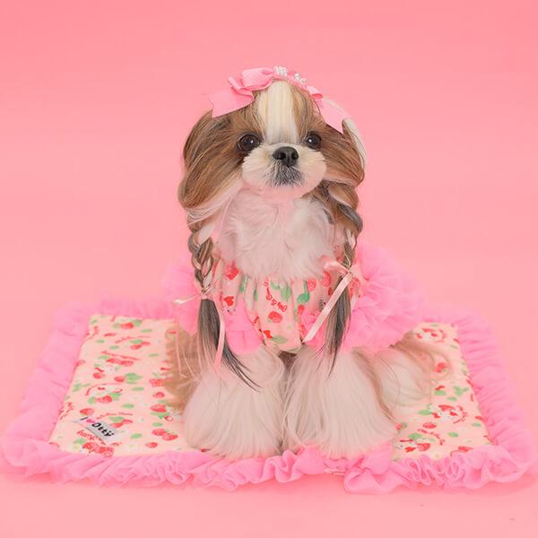 CanNana カフェマット マット ハローキティ サンリオ キティちゃん