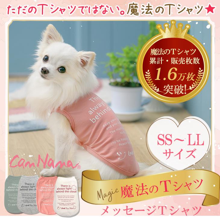 犬 服 Tシャツ 適温 アウトラスト 通年 温度調整 犬の服 Ss S M L Ll きゃんナナ ドッグウェア ブランド 846 きゃんナナオンラインショップ 通販 Yahoo ショッピング