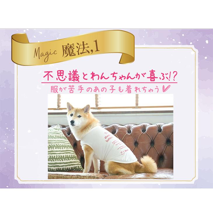 犬 服 Tシャツ 大型犬 魔法のTシャツ アウトラスト ストレッチ 温度