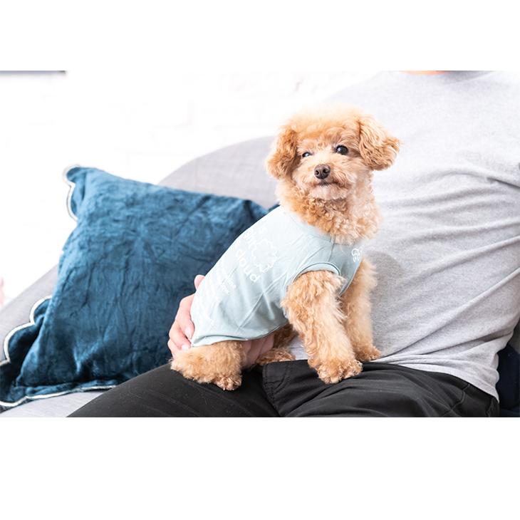 犬 服 Tシャツ 魔法のTシャツ 伸縮 適温 アウトラスト 通年 温度調整