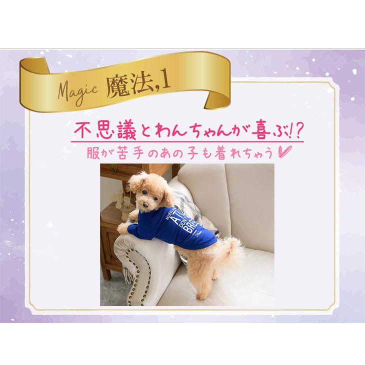 レディース 長袖 Tシャツ ロンＴ ブルー 青 わんこ トップス カットソー 犬 犬 服 魔法のTシャツ 適温キープ・カジュアルロンT アウトラスト