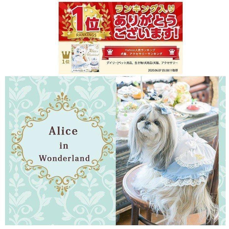 犬服 ワンピース かわいい プレゼント 撮影会 おでかけ 不思議の国の