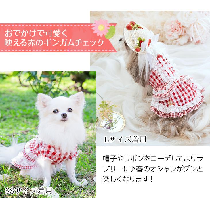CanNana web限定 犬 服 犬服 苺つきギンガムチェックワンピース いちご