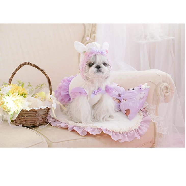 Web限定 犬 服 犬服 春 イースター うさぎ柄 撮影 小物 リボン クッション 犬の服 新作 きゃんナナ ドッグウェア ブランド A 530 きゃんナナオンラインショップ 通販 Yahoo ショッピング