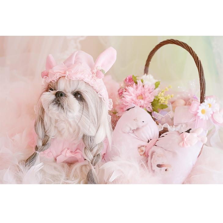 CanNana 犬 服 犬服 うさ耳フリルワンピース コスプレ いちご 7段