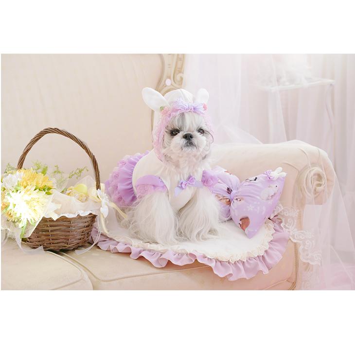 楽天市場】きゃんナナ 犬服 春 夏 あまいイチゴのレースフリル