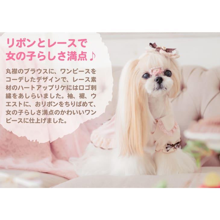 犬 服 犬服 犬の服 春服 おしゃれ ブランドセレブ 小型犬  シーズー トイプードル チワワ ポメラニアン ワンピース リボン バレンタイン ハート｜cannanaonline｜06