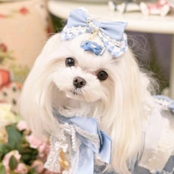 専用！【犬用 現品限り ヘアアクセサリー付きキャミソールワンピース