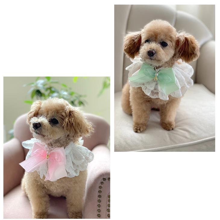 CanNana 犬用 プリンセス アクセサリー レース ネック ドッグ CanNana 犬用 プリンセス アクセサリー レース ネック ドッグ