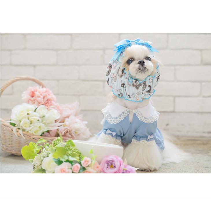 きゃんナナ 犬 服 犬服 犬用 スヌード ペットグルーミング イヤーカフ