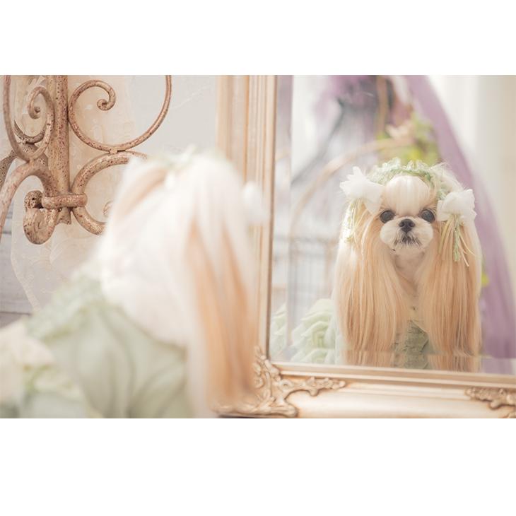 犬 アクセサリー ヘッドドレス アンティーク バレッタ きゃんナナ