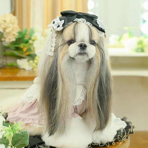 CanNana 犬 アクセサリー 大きいリボンのヘッドドレス リボン バレッタ