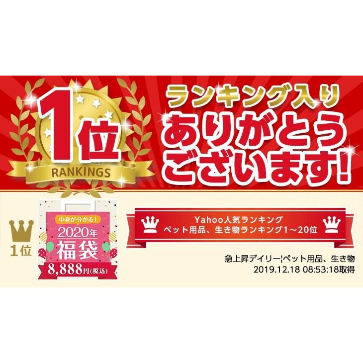 犬 服 2020 福袋 犬用 ドッグウェア きゃんナナ ブランド