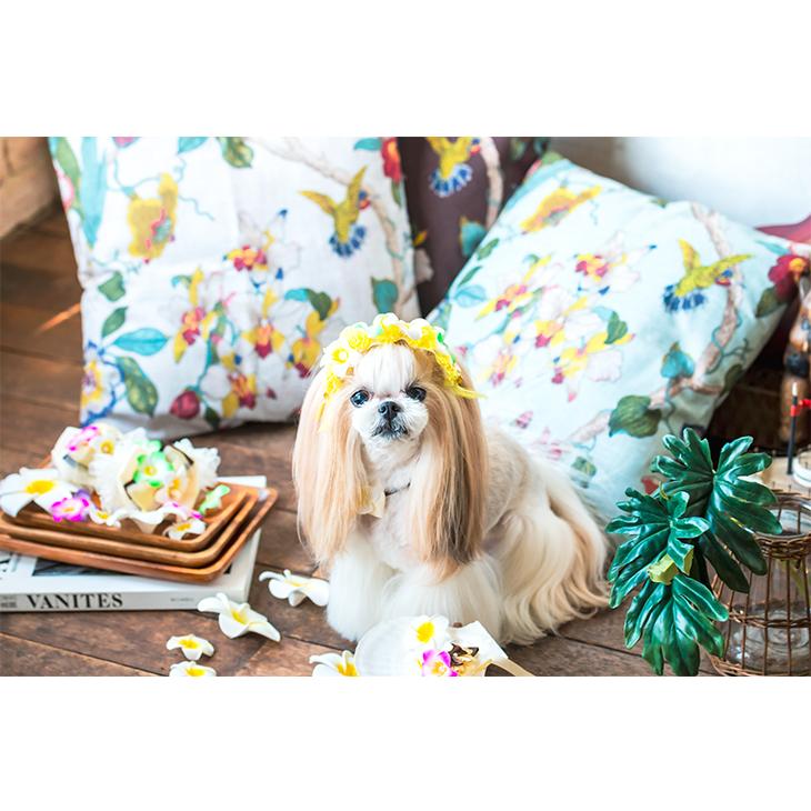 CanNana 犬 アクセサリー バレッタ ヘッドドレス プルメリア フラワー