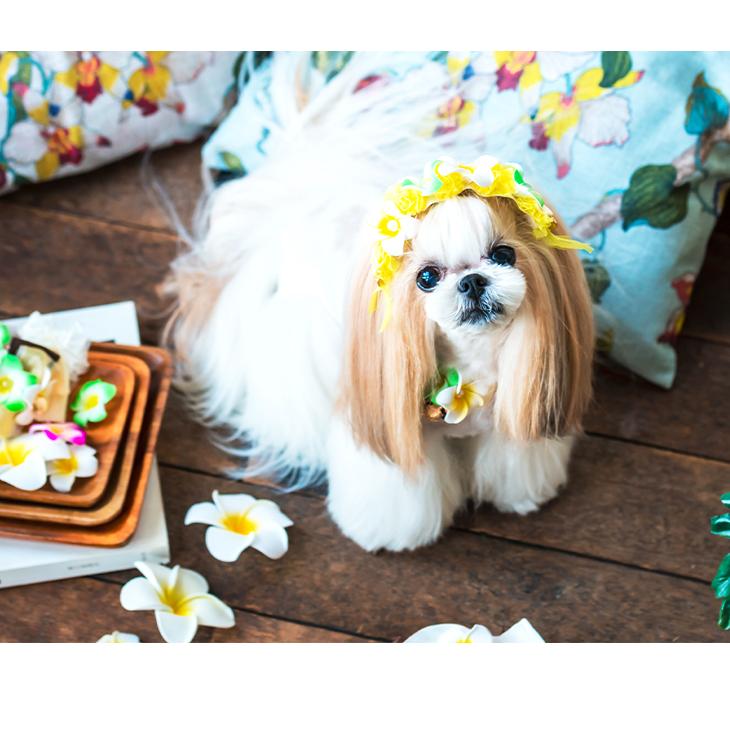 ♥︎︎sold out♥︎︎ ハンドメイド 犬服 アンティークフラワー リボン