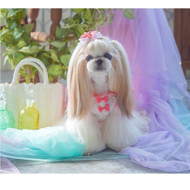 CanNana 犬 アクセサリー バレッタ ビビットカラー レース リボン