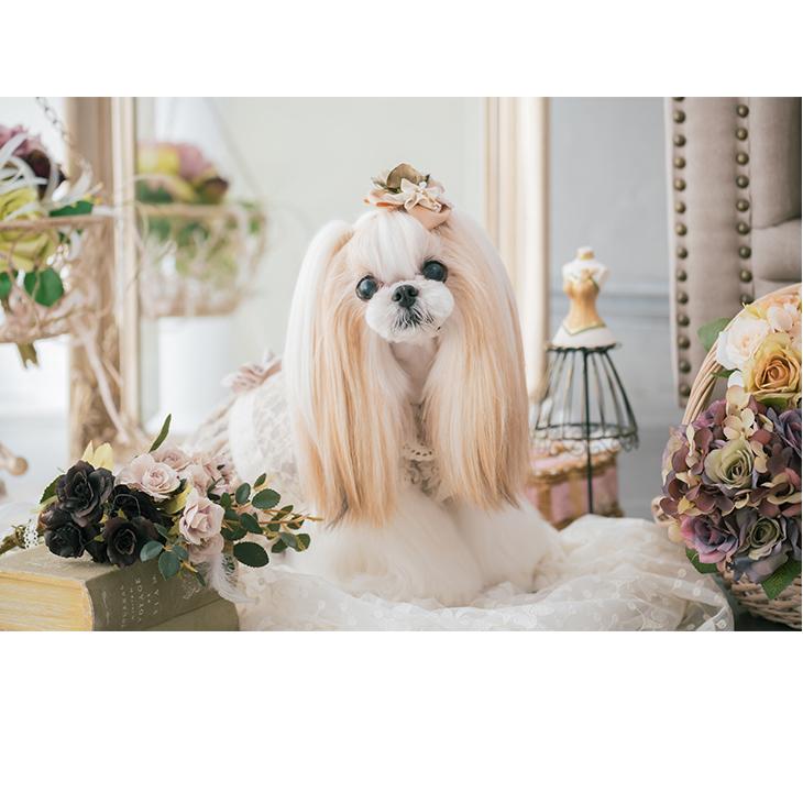 CanNana 犬 秋冬 アクセサリー バレッタ 花 ローズ アンティーク