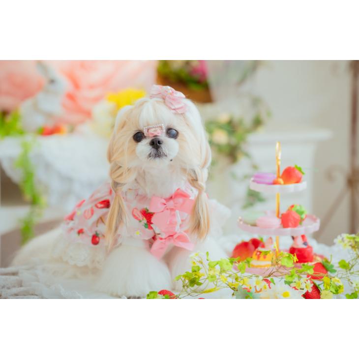 CanNana 犬 春夏 アクセサリー バレッタ レッド ピンク イエロー