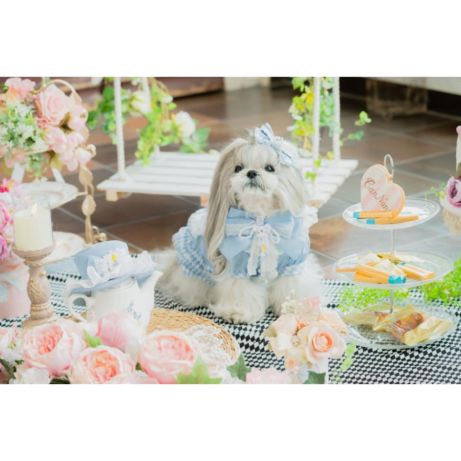 CanNana きゃんナナ 犬 服 犬服 犬の服 おしゃれ ブランド シーズー