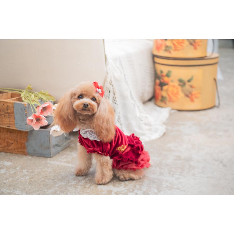 CanNana きゃんナナ 犬 服 犬服 犬の服 おしゃれ ブランド シーズー