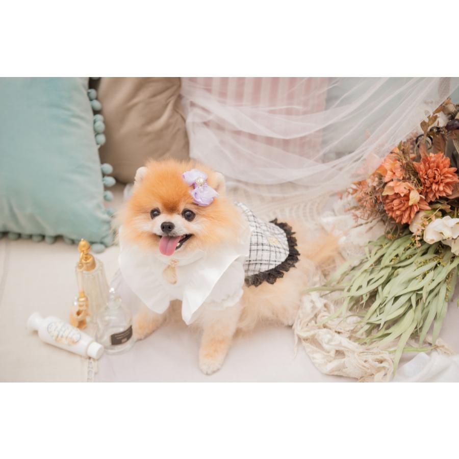 CanNana きゃんナナ 犬 服 犬服 犬の服 おしゃれ ブランド シーズー