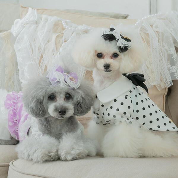 CanNana 犬 アクセサリー リボン バレッタ プレゼント ギフト きゃん