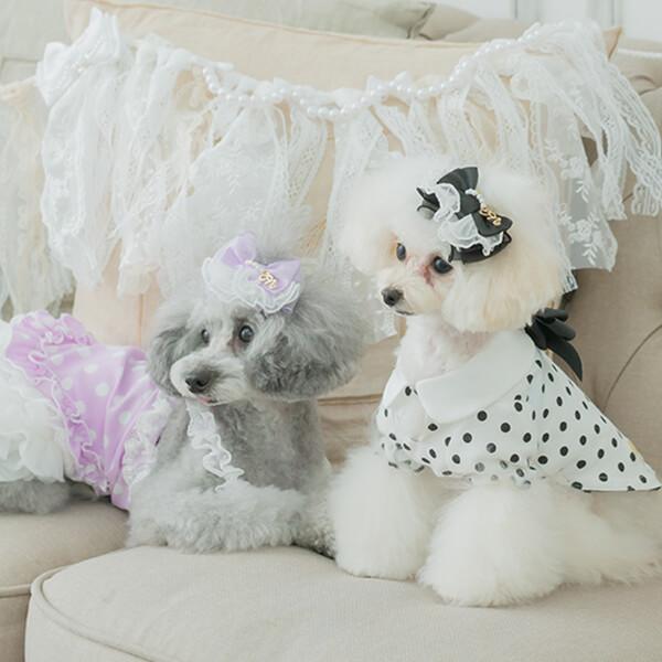 CanNana 犬 アクセサリー リボン バレッタ プレゼント ギフト きゃん