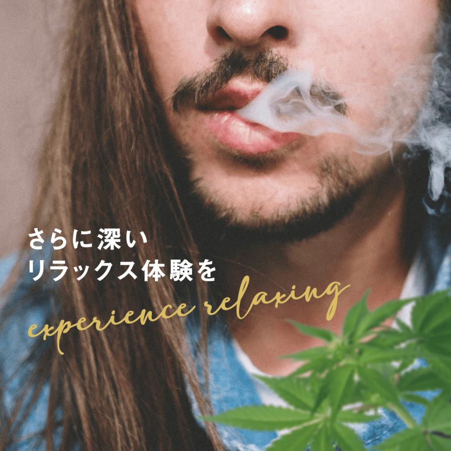 CBN 高濃度 リキッド 45% カートリッジ 1g  CBN 450mg CannaTech 高濃度 510規格 cbdリキッド メンソール og kush  日本製 cbd リキッド 高濃度 新規制対応 爆買 | CannaTech | 07