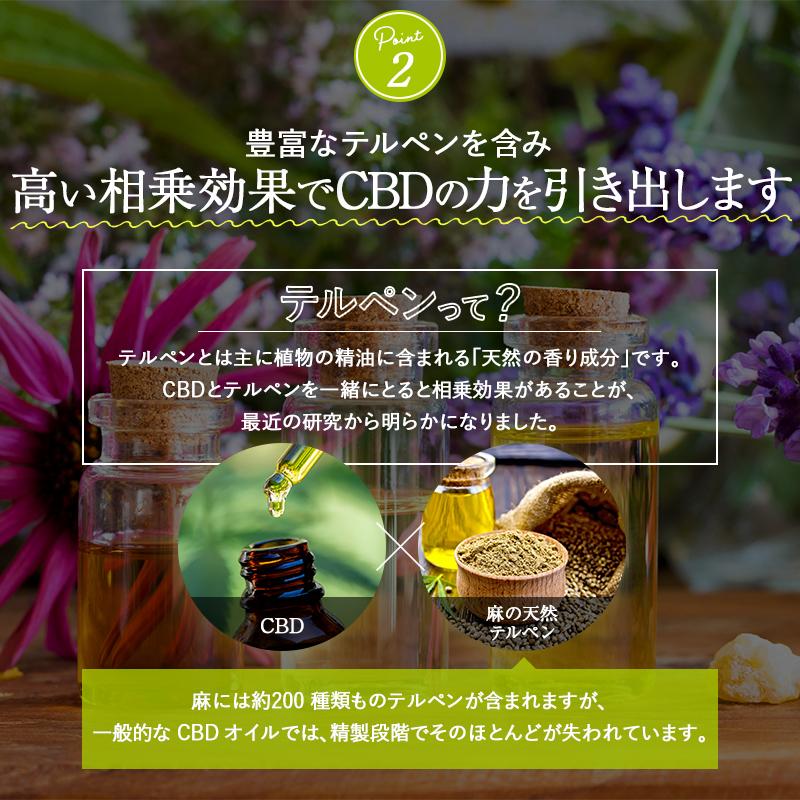 CBD オイル 10g 6% CBD 600mg CannaTech  実感力アップで新登場 ブロードスペクトラム 高濃度 cbdオイル CBD HEMP OIL ドロップ 爆買 | CannaTech | 10