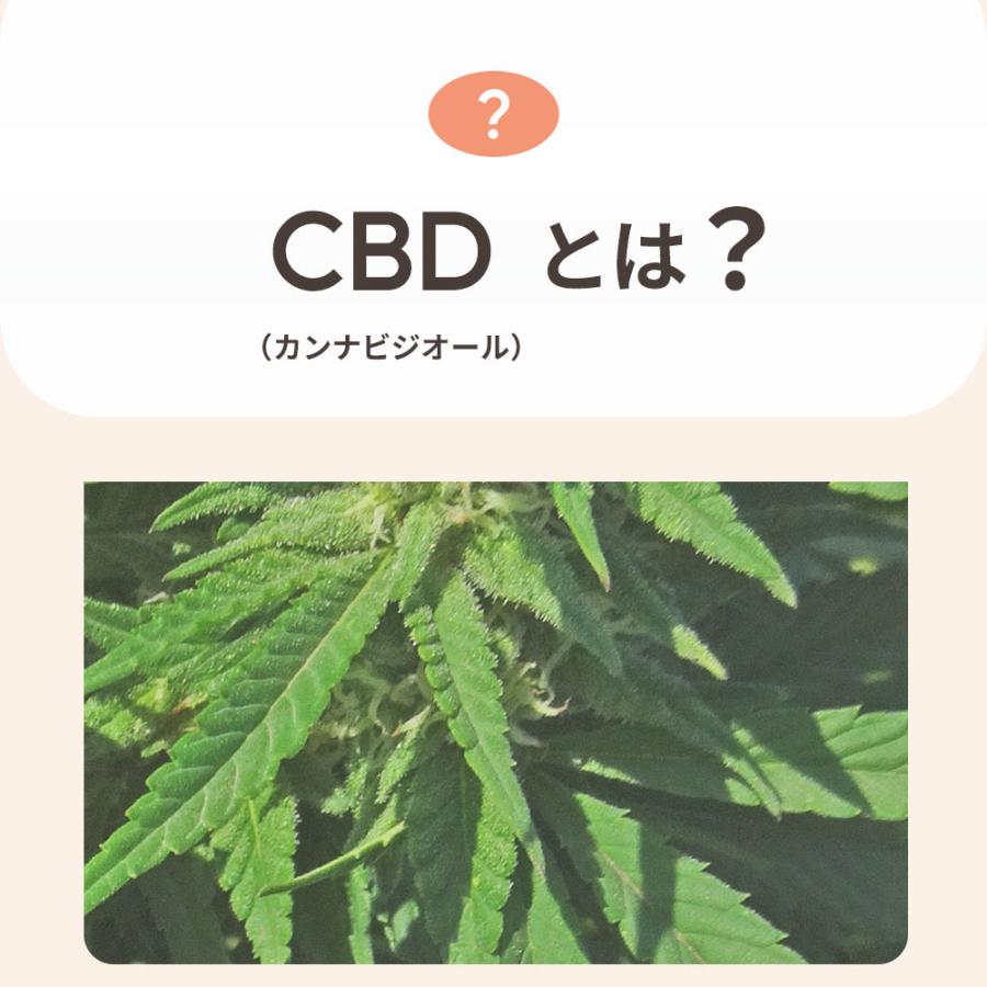 CBDオイル ペット用 30ml 1.2% 小型犬 中型犬 用 CBD 360mg 【ラボテスト結果付】 CBD OIL for Pets Calm & Stress cbdオイル ペット用 サプリ CBD 犬 爆買 |  | 02