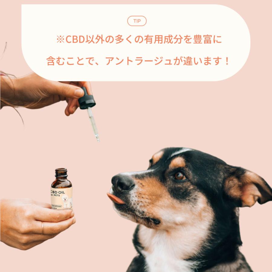 CBDオイル ペット用 30ml 1.2% 小型犬 中型犬 用 CBD 360mg 【ラボテスト結果付】 CBD OIL for Pets cbdオイル ペット用 サプリ CBD 犬 |  | 09