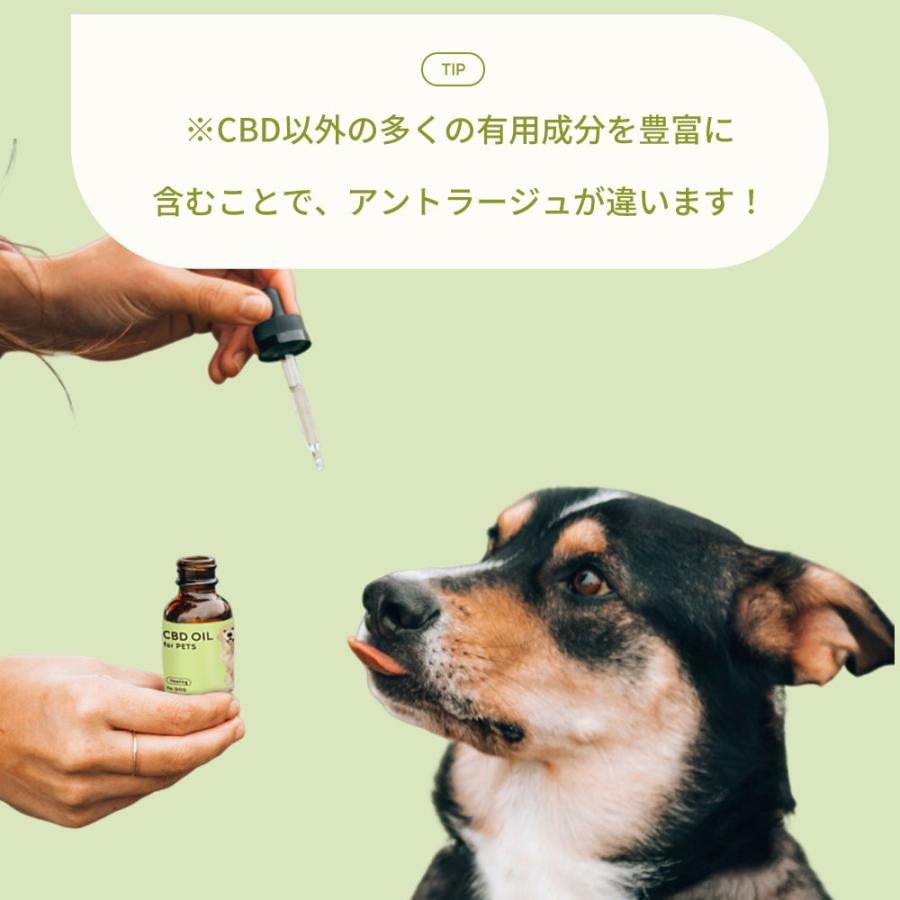 CBDオイル ペット用 30ml 4% 大型犬用 CBD 1200mg 【ラボテスト結果付】CBD OIL for Pets cbdオイル ペット用 サプリ CBD オイル 犬 |  | 08