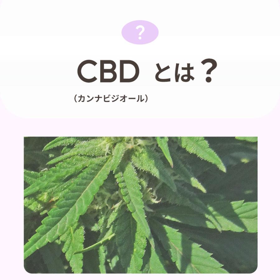 CBDオイル ペット用 10ml 1.2% 猫用 CBD 120mg 【ラボテスト結果付】CBD OIL for Pets Calm & Stress cbdオイル ペット用 サプリ CBD オイル 猫 THC フリー |  | 02