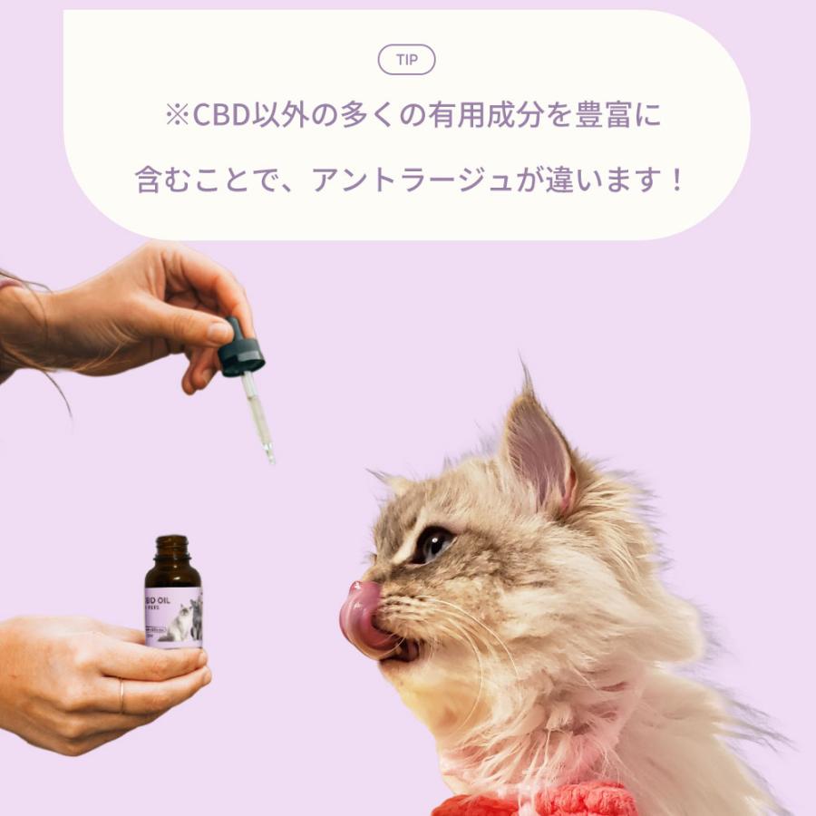 CBDオイル ペット用 10ml 1.2% 猫用 CBD 120mg 【ラボテスト結果付】CBD OIL for Pets cbdオイル ペット用 サプリ CBD オイル 猫 |  | 09