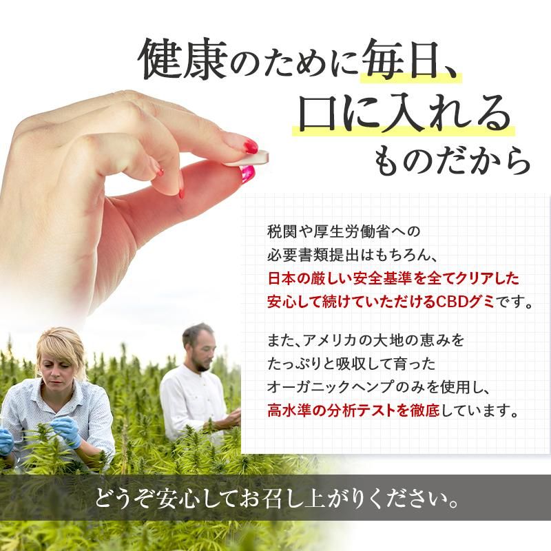 CBD グミ 10粒 CBD 500mg ( CBD 50mg /粒)  アイソレート CannaTech cbd サプリメント cbdグミ ベア 日本製 cbd グミ 高濃度 爆買 | CannaTech | 11