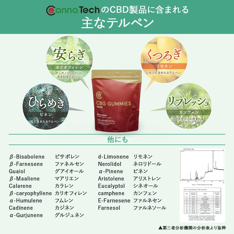 CBG グミ10個入り×2個 CBG グミ10個入り×2個