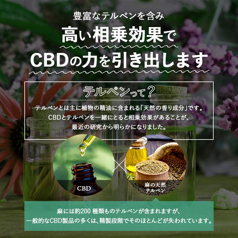 CannaTech CBG グミ CBD 配合 10粒 500mg 250mg ( 25mg /粒