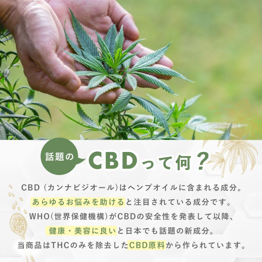 CBD バーム クリーム Relief Cream 60g CBD 2,000mg ペインクリーム 塗るタイプ 固さが気になるところに ブロードスペクトラム | CannaTech | 09