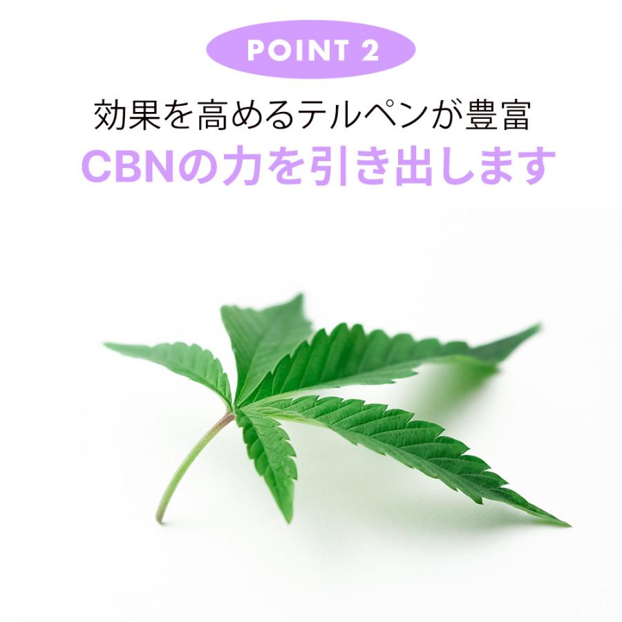 CBN オイル 20% CBN 2000mg ブロードスペクトラム CBN 高濃度 LILILALA 内容量 10g 日本製 CBD ドロップ CannaTech 爆買 | CannaTech | 11
