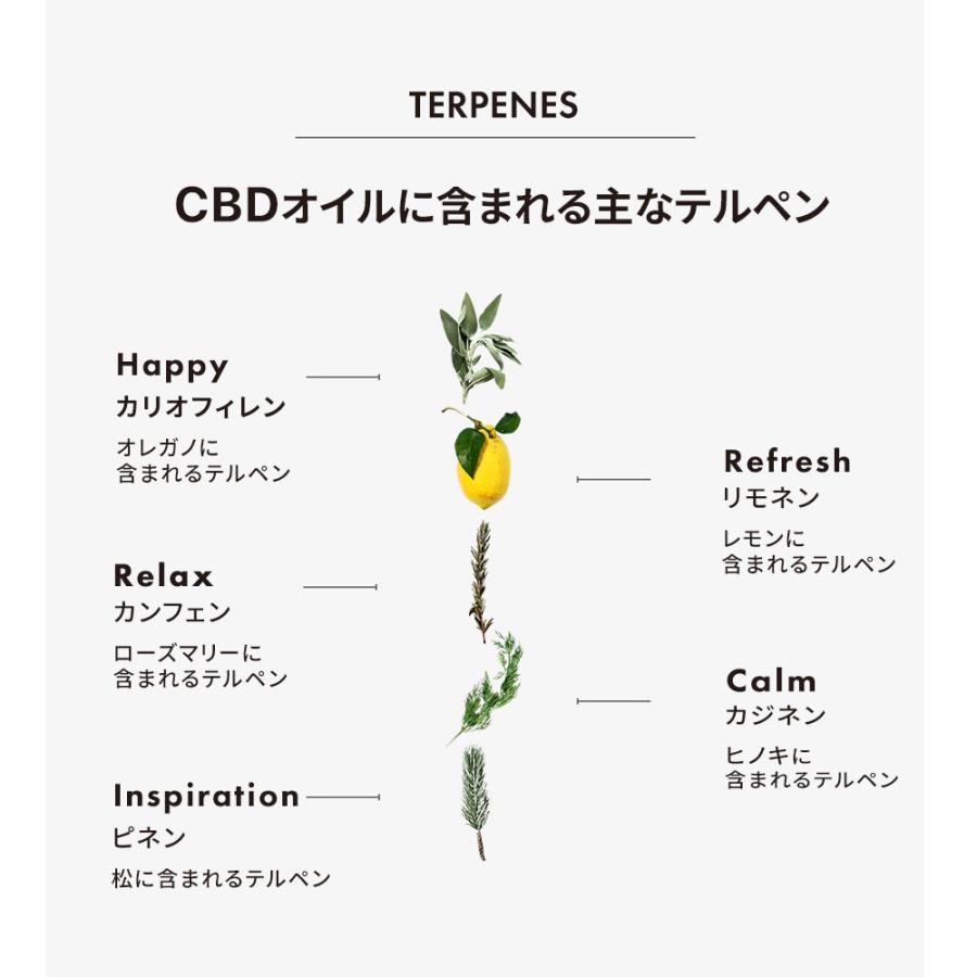 CBD オイル 40% 4000mg ブロードスペクトラム 高濃度 LILILALA 内容量 10g 日本製 ドロップ カンナビジオール フルスペクトラムより安心 CannaTech 爆買 | CannaTech | 09