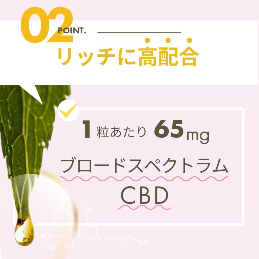 CBD グミ CBD 650mg 配合 10粒 ｜CBD 65mg/粒｜果汁100% CBD 65mg /粒 配合 ブロードスぺクトラム cbdグミ CannaTech 国産 国内製造 超PayPay祭 | CannaTech | 04