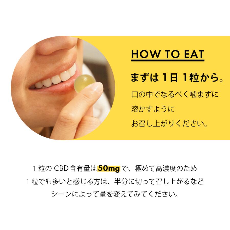 CBD グミ CBD 650mg 配合 10粒 ｜CBD 65mg/粒｜果汁100% CBD 65mg /粒 配合 ブロードスぺクトラム cbdグミ CannaTech 国産 国内製造 爆買 | CannaTech | 06