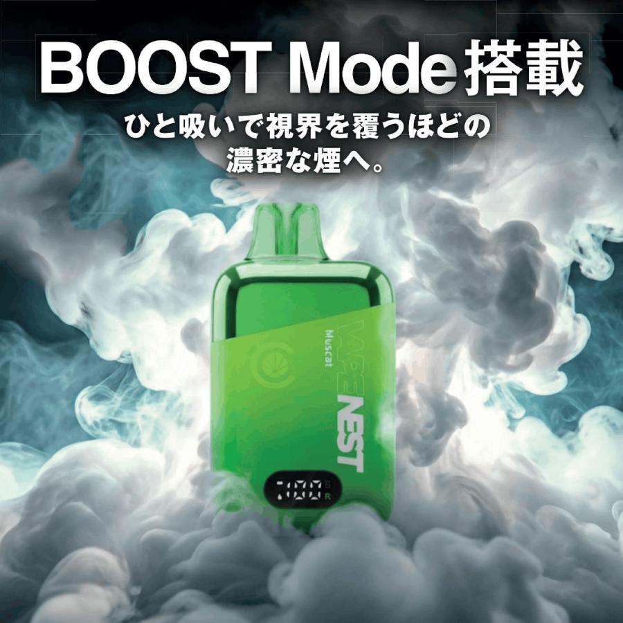 CannaTech（キャナテック） 《新発売》 VAPE NEST CBD配合 電子タバコ