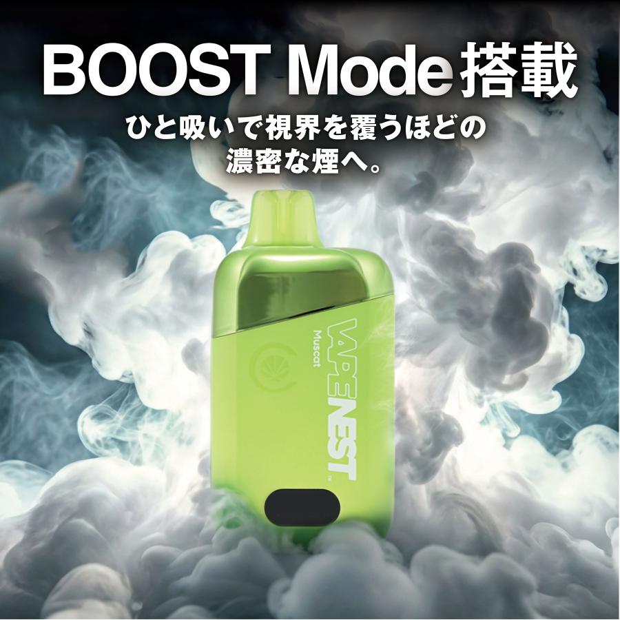 《新発売》 VAPE NEST CBD配合 電子タバコ ベイプ ポケットシーシャ 大容量15ml 10000パフ ニコチン0 タール0 THCフリー 残量表示 CBD 日本製造 超PayPay祭 | CannaTech | 12