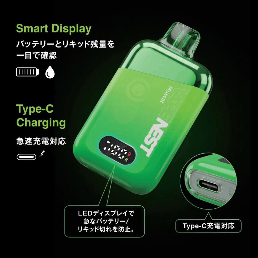 CannaTech（キャナテック） 《新発売》 VAPE NEST CBD配合 電子タバコ