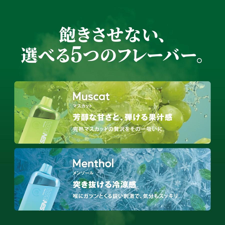 《新発売》 VAPE NEST CBD配合 電子タバコ ベイプ ポケットシーシャ 大容量15ml 10000パフ ニコチン0 タール0 THCフリー 残量表示 CBD 日本製造 超PayPay祭 | CannaTech | 09