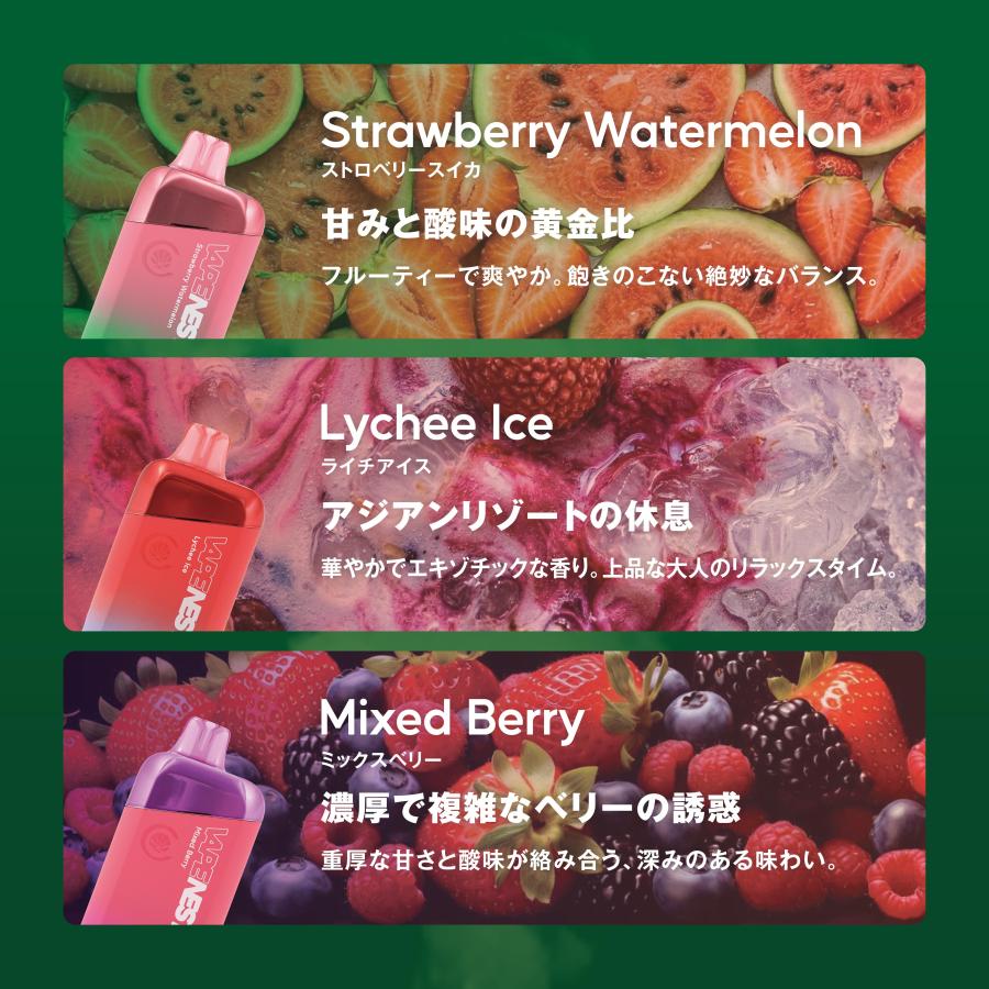 《新発売》 VAPE NEST 電子タバコ ベイプ ポケットシーシャ 大容量15ml 10000パフ ニコチン0 タール0 充電式 残量表示 ブーストモード 日本製造 超PayPay祭 | CannaTech | 03