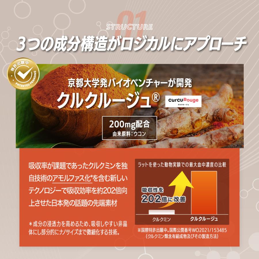 酢酸菌酵素 追加/ 高吸収 クルクミン サプリメント 60粒(30日分 酢酸菌酵素 追加/ 高吸収 クルクミン サプリメント 60粒(30日分