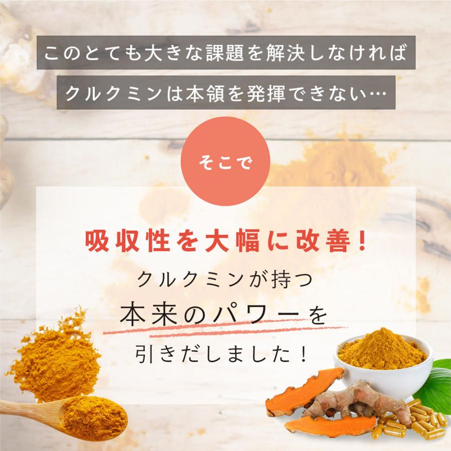 高吸収型 クルクミン クルクルージュ サプリメント 62粒 2個セット